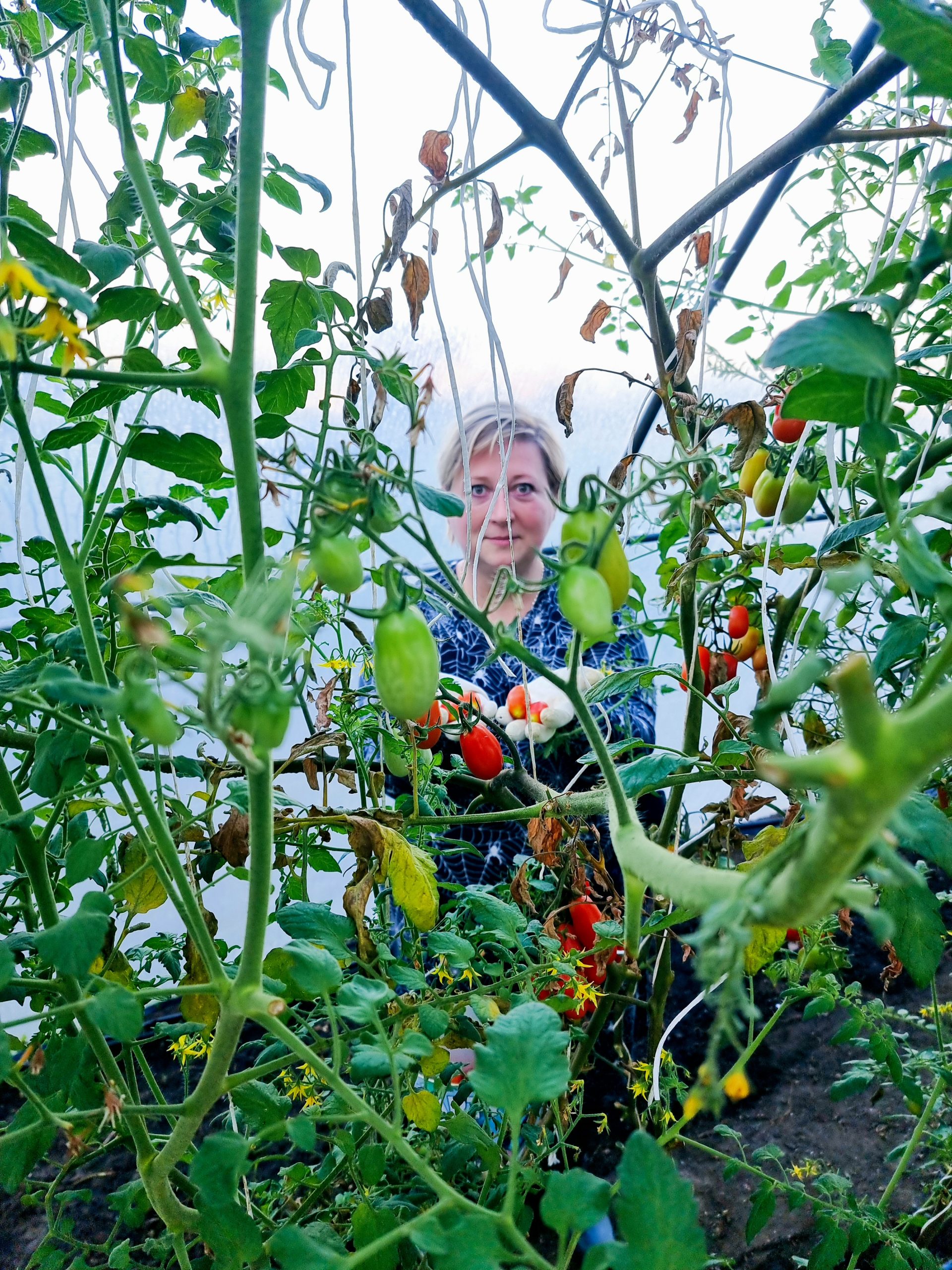 Panoráma_Kocsis Kinga