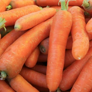 shop.panoramaokokert_sargarepa